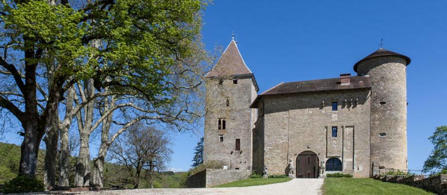Chateau De Marigna Marigna-sur-Valouse Bagian luar foto